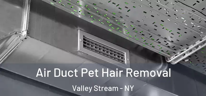 Air Duct Pet Hair Removal Valley Stream - NY