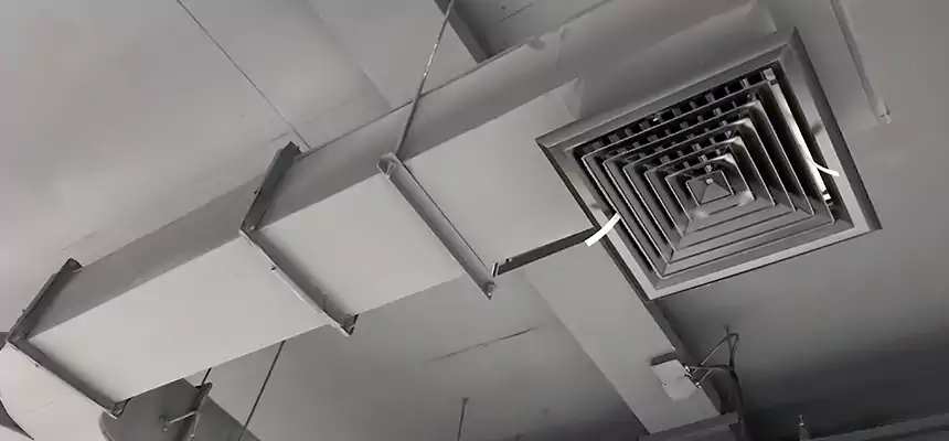 Restorative Allergy Relief Vent Cleaning – Coil, Blower & Housing Detail in Valley Stream