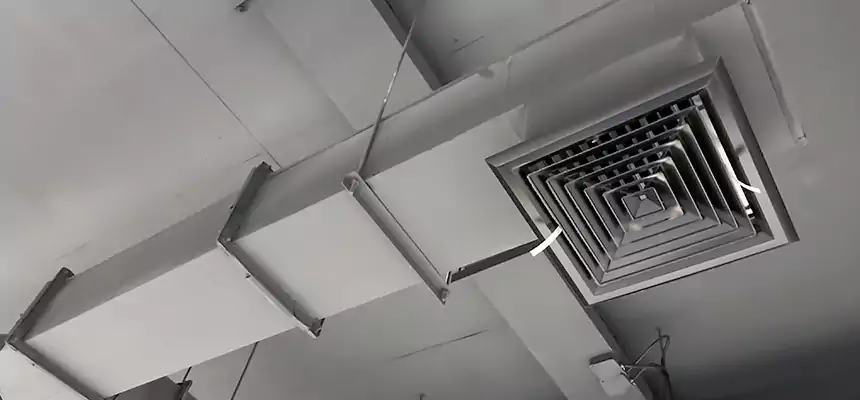 Our Rodent Droppings In Vents Services in Valley Stream, NY