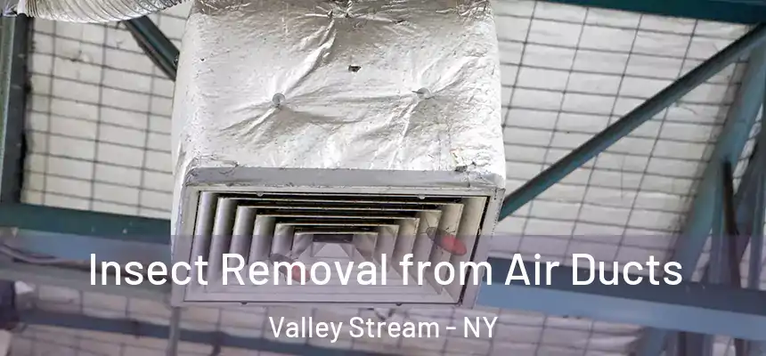  Insect Removal from Air Ducts Valley Stream - NY