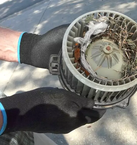 About Air Duct Mice Removal in Valley Stream, NY