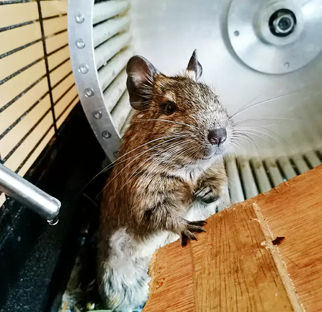 Why Homeowners & Businesses Trust Us Valley Stream, NY